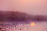 Foggy Sunrise Reflected_20957